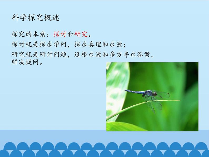 沪粤版物理八年级上册1.4 尝试科学探究_课件第5页