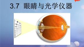 初中粤沪版第三章 光和眼睛7 眼睛与光学仪器教课内容ppt课件