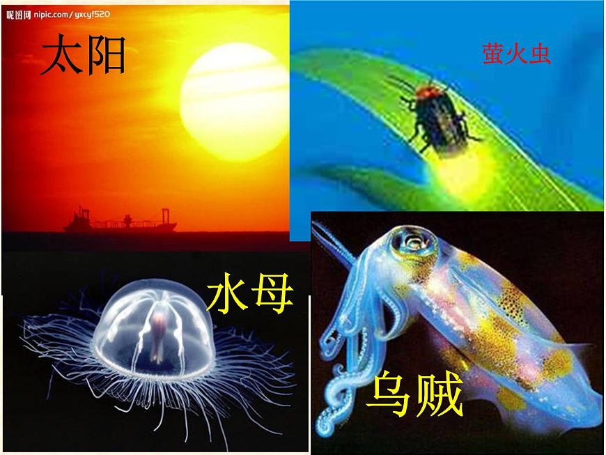 滬粵版物理八年級(jí)上冊(cè)  3.1 光世界巡行課件第4頁(yè)