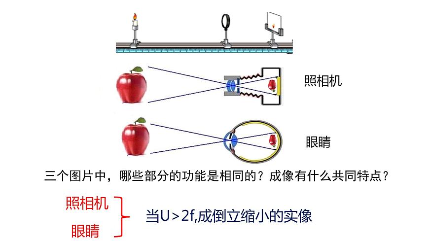 滬粵版物理八年級(jí)上冊(cè) 3.7 眼睛與光學(xué)儀器課件第4頁(yè)