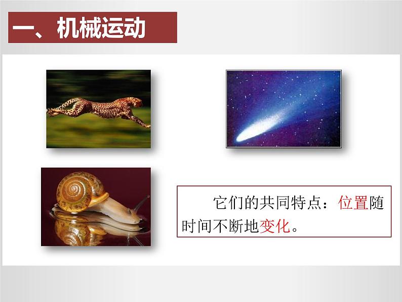 2021-2022 人教版八年级上册课件:1.2运动的描述03