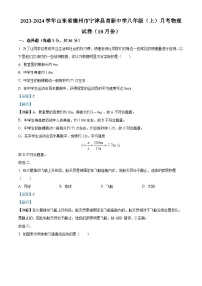 02，山东省德州市宁津县育新中学2023-2024学年八年级上学期10月月考物理试题