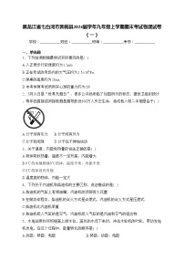 黑龙江省七台河市勃利县2024届学年九年级上学期期末考试物理试卷（一）(含答案)