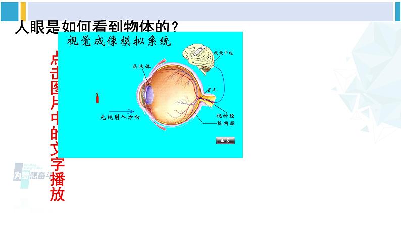 北师大版八年级物理下册 第六章 常见的光学仪器 第四节 眼睛和眼镜(课件)04