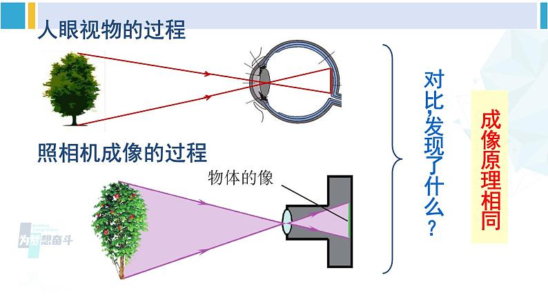 北师大版八年级物理下册 第六章 常见的光学仪器 第四节 眼睛和眼镜(课件)05
