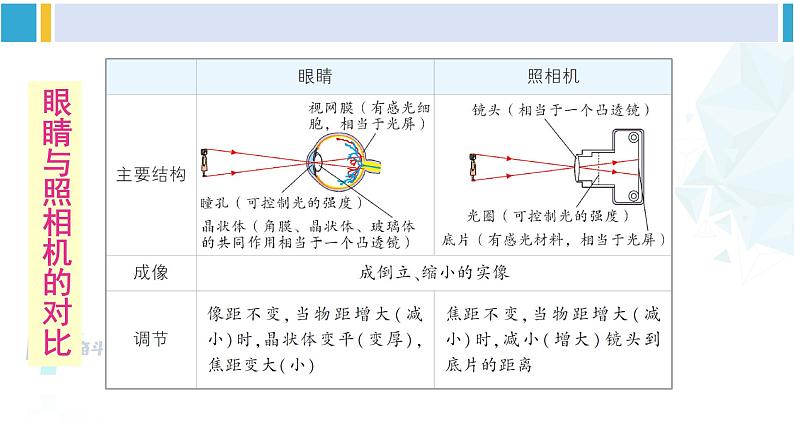 北师大版八年级物理下册 第六章 常见的光学仪器 第四节 眼睛和眼镜(课件)06
