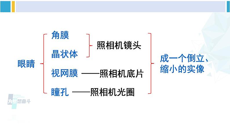 北师大版八年级物理下册 第六章 常见的光学仪器 第四节 眼睛和眼镜(课件)07