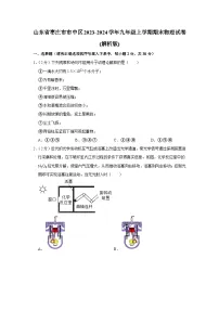 山东省枣庄市市中区2023-2024学年九年级上学期期末物理试卷