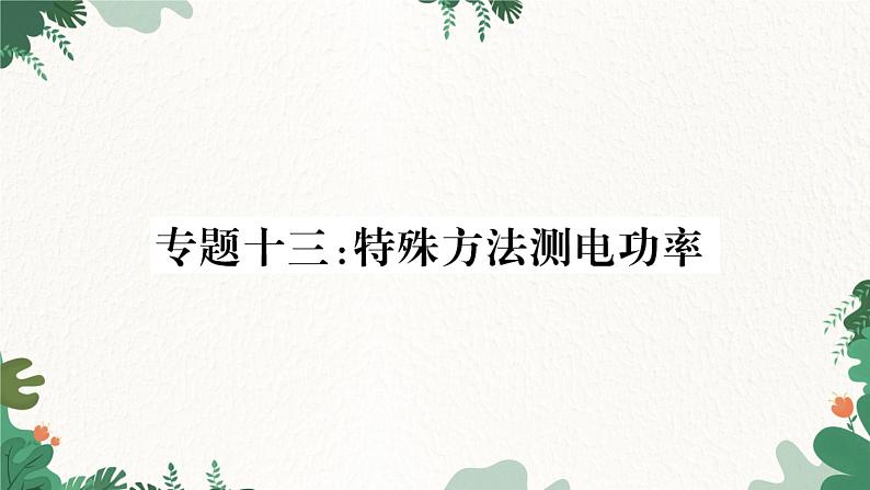 专题十三:特殊方法测电功率第1页