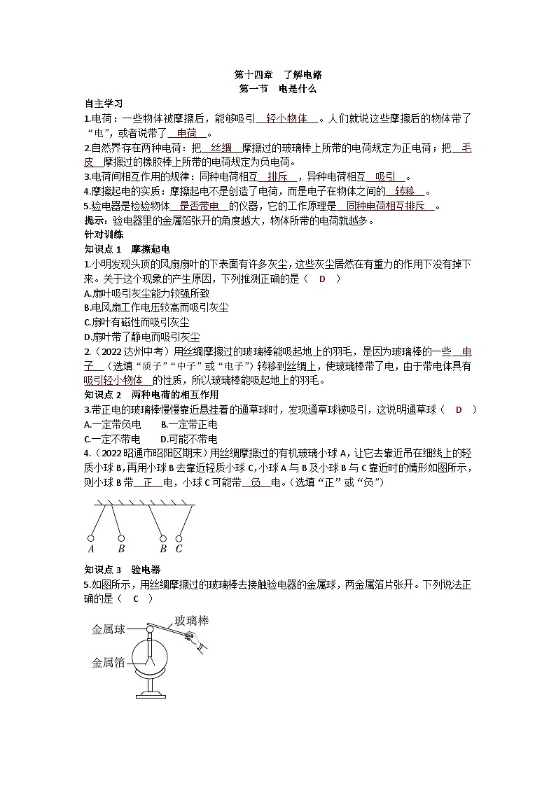 沪科版九年级物理 第十四章 第一节 电是什么练习第1页