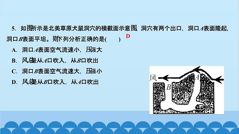 人教版物理八年级下册 第九章 压强 阶段检测(第九章) 课件第6页