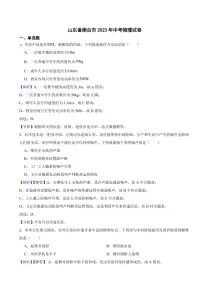 山东省烟台市2023年中考物理试题（附真题解析）