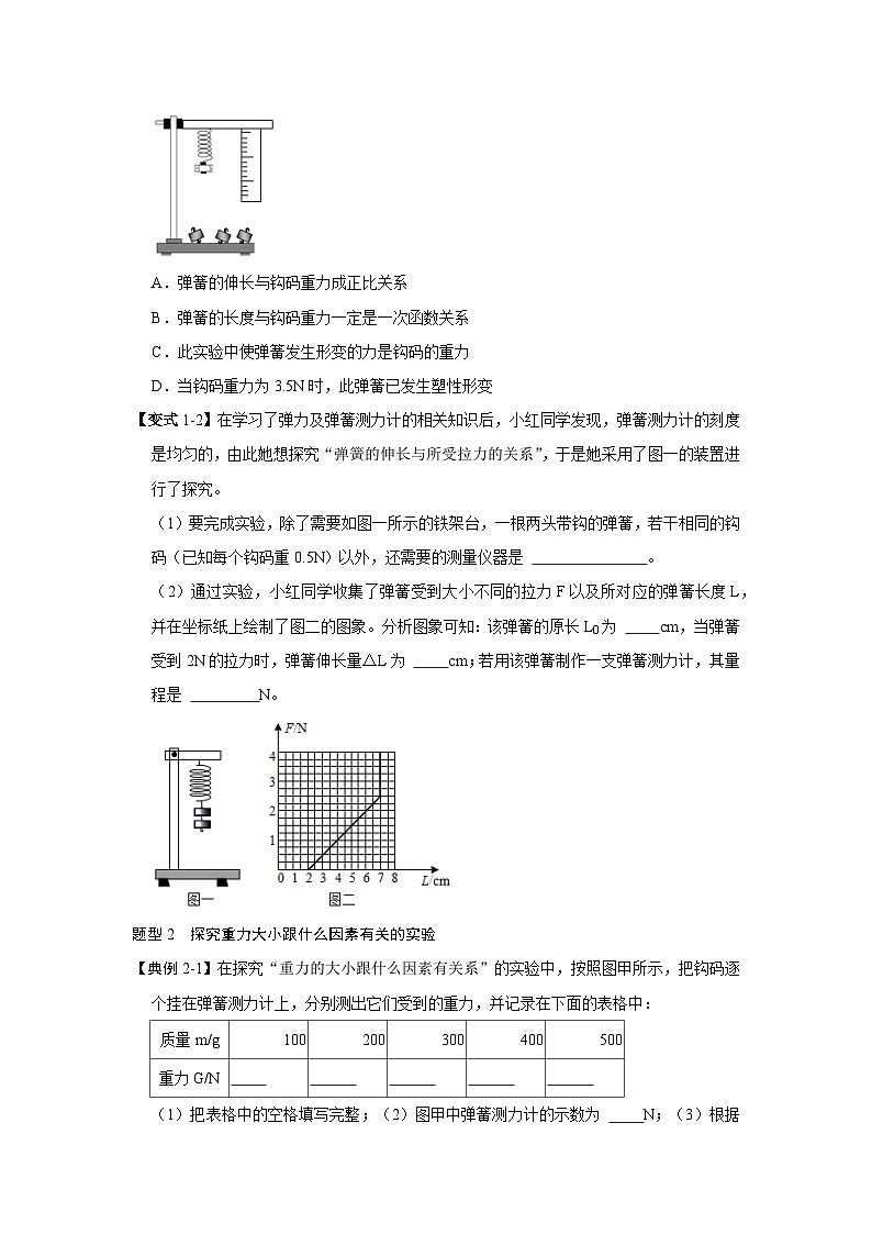 专题03 弹力与重力相关实验训练-2023-2024学年八年级下册物理阶段性专题复习及模拟测试(苏科版)03