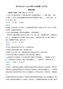 河南省洛阳市洛宁县2023-2024学年九年级上学期10月月考物理试题