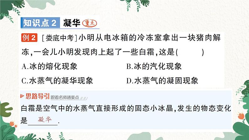 第四节 升华和凝华第4页