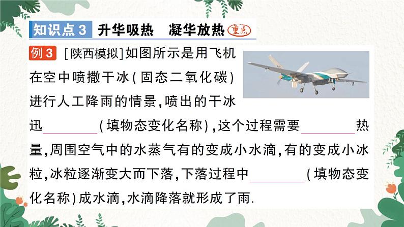 第四节 升华和凝华第5页