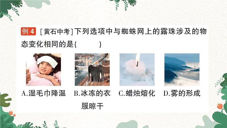 第四节 升华和凝华第7页