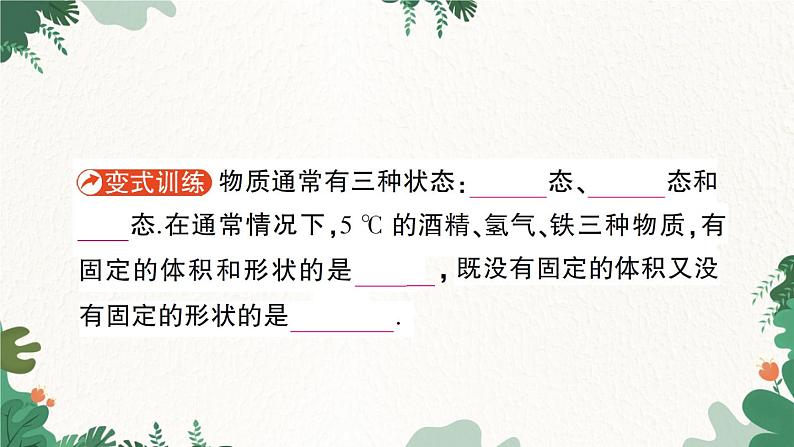 第一节 物态变化温度第3页