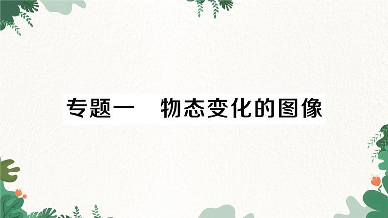 专题一 物态变化的图像第1页