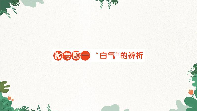微专题一“白气”的辨析第1页