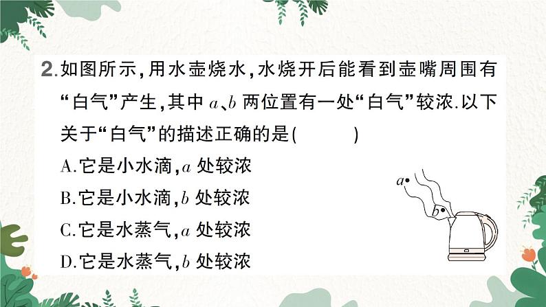 微专题一“白气”的辨析第3页