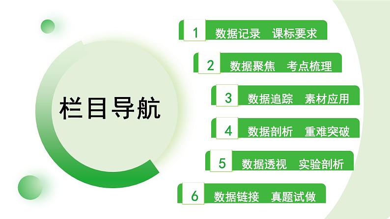 2024年中考物理复习课件---第8讲 熟悉而陌生的力第2页