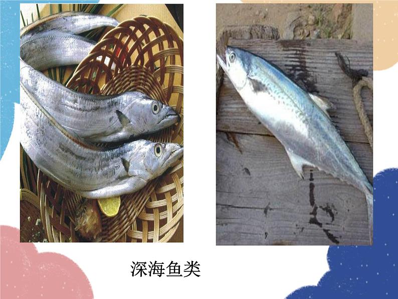 沪科版物理八年级下册 第八章 第二节 科学探究:液体的压强课件第5页