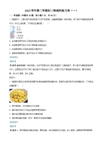 广东省广州市第五中学2023-2024学年九年级下学期开学考物理试题