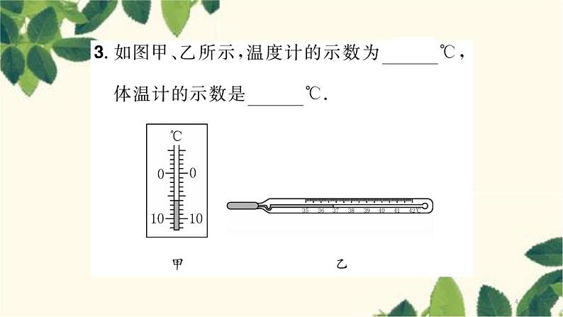 人教版物理八年级上册 期末复习 专项训练习题课件04