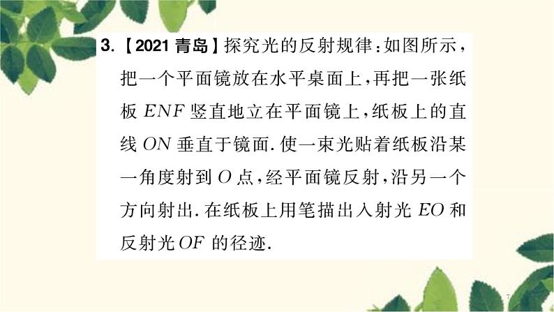 人教版物理八年级上册 期末复习 专项训练习题课件07