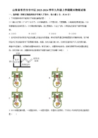 山东省枣庄市市中区2023-2024学年九年级上学期期末物理试题(原卷版+解析版)