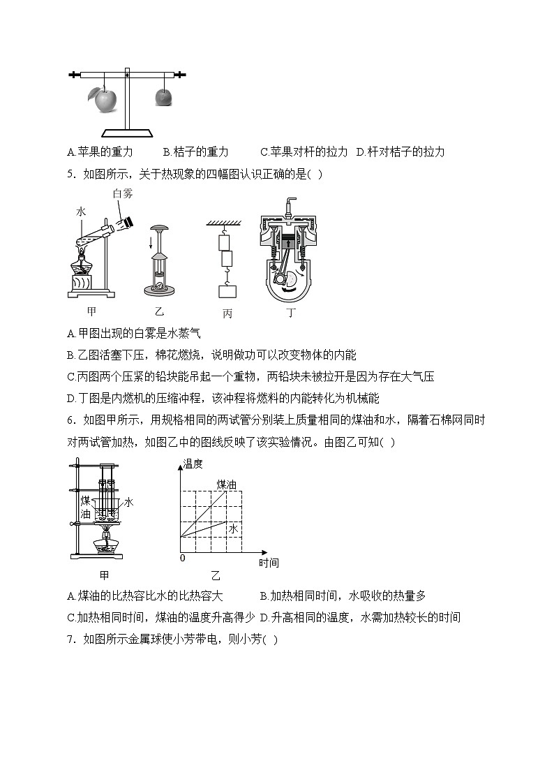 广东省广州市增城区2024届九年级上学期期中质量检测物理试卷(含答案)第2页