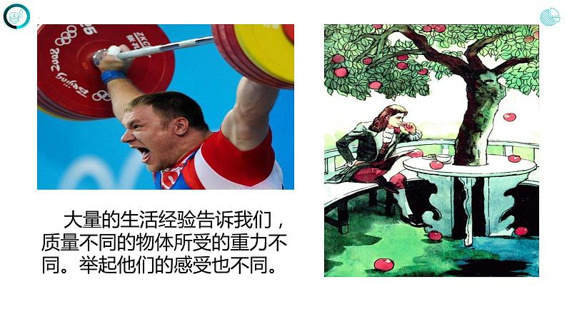 第七章 力 第三节 重力课件 人教版八年级物理下册第5页