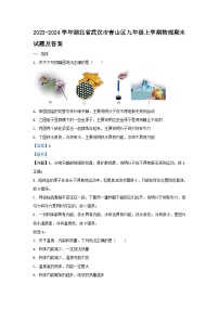 2023-2024学年湖北省武汉市青山区九年级上学期物理期末试题及答案