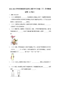 河南省驻马店市上蔡六中2022-2023学年八年级下学期月考物理试卷（3月份）