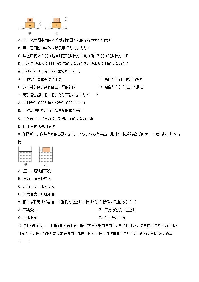 甘肃省陇南市康县阳坝镇初级中学2022-2023学年八年级下学期期中物理试题（原卷版+解析版）02