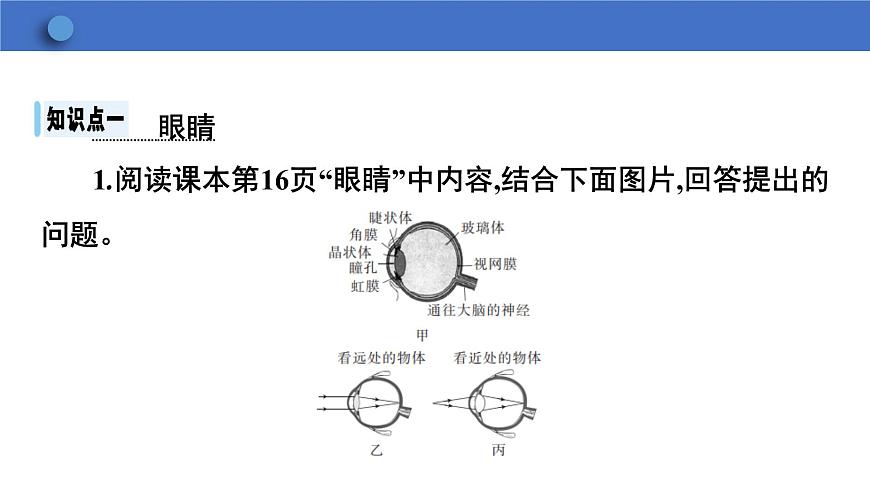 6.4+眼睛和眼鏡++課件+2023-2024學(xué)年物理北師版八年級(jí)下冊(cè)第5頁(yè)