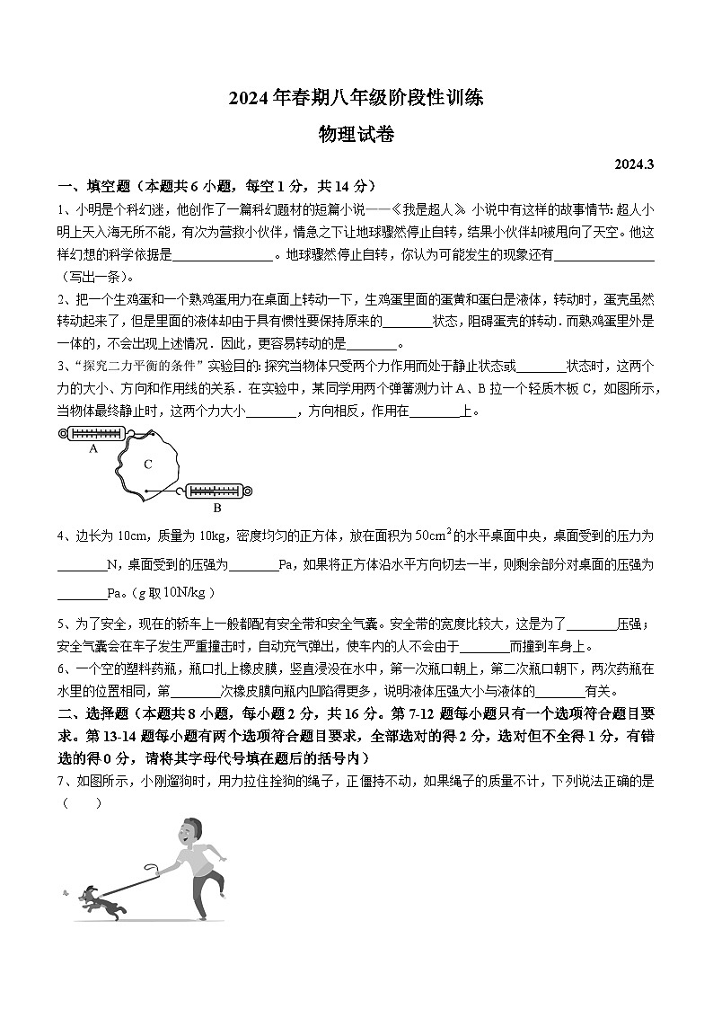 河南省南阳市镇平县2023-2024学年八年级下学期3月月考物理试题01