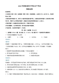 2022年陕西省中考物理真题(含解析)