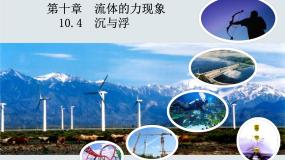 初中物理教科版八年级下册4 沉与浮教学ppt课件