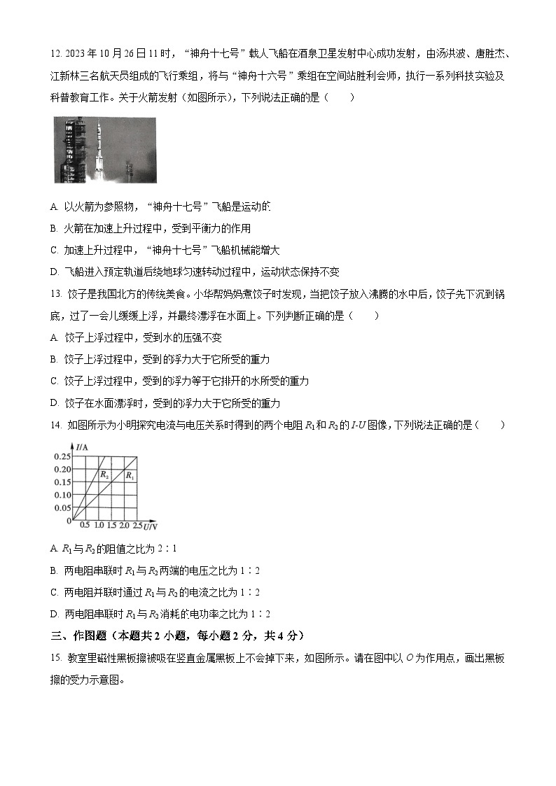 2024年河南省周口市沈丘县多校联考中考一模物理试题（原卷版+解析版）03