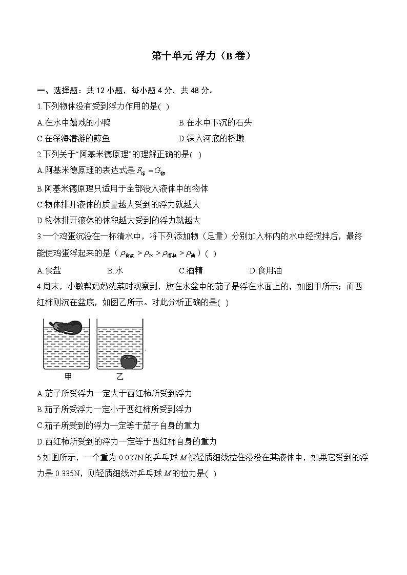 第十單元 浮力——2023-2024學(xué)年八年級(jí)下冊(cè)物理人教版單元檢測(cè)卷(B卷)第1頁(yè)