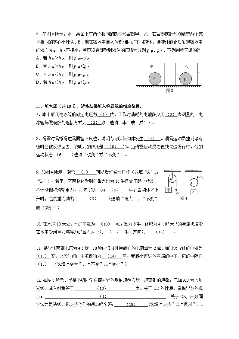 2020（2）奉賢區(qū)物理測試題第2頁