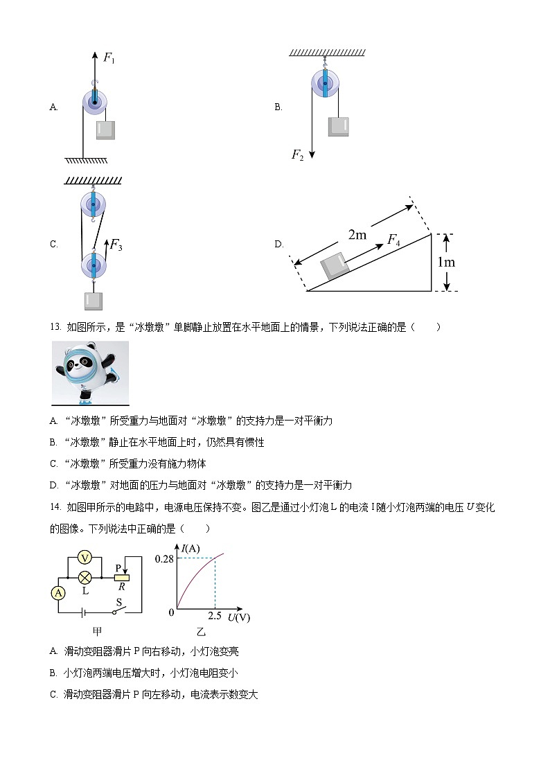 2024年河南省南阳市桐柏县中考一模物理试题(原卷版+解析版)03
