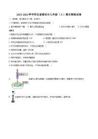 2023-2024学年河北省廊坊市九年级（上）期末物理试卷（含详细答案解析）