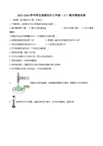 2023-2024学年河北省廊坊市九年级(上)期末物理试卷(含详细答案解析)
