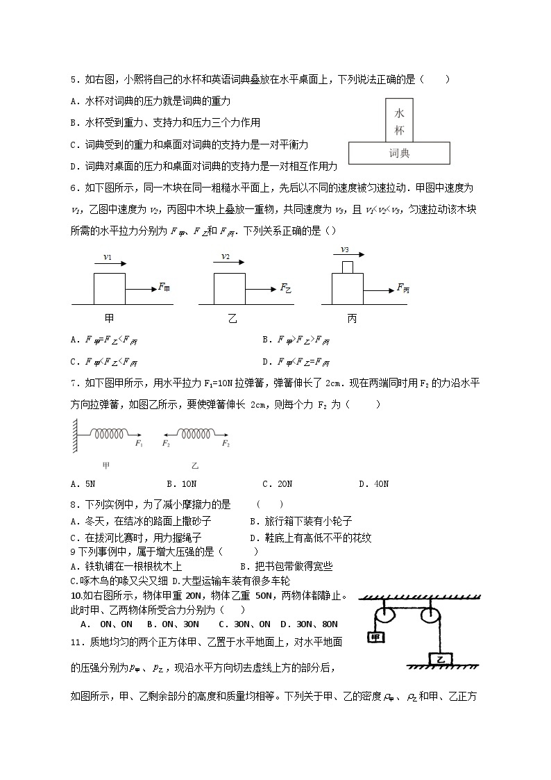 四川省凉山州宁南县初级中学校2023-2024学年八年级下学期第一次月考物理试题02