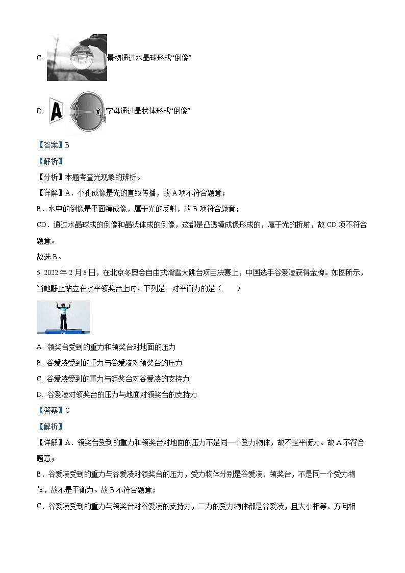 广东省惠州市第五中学2023-2024学年九年级下学期4月模拟考试物理试卷(解析版)第3页