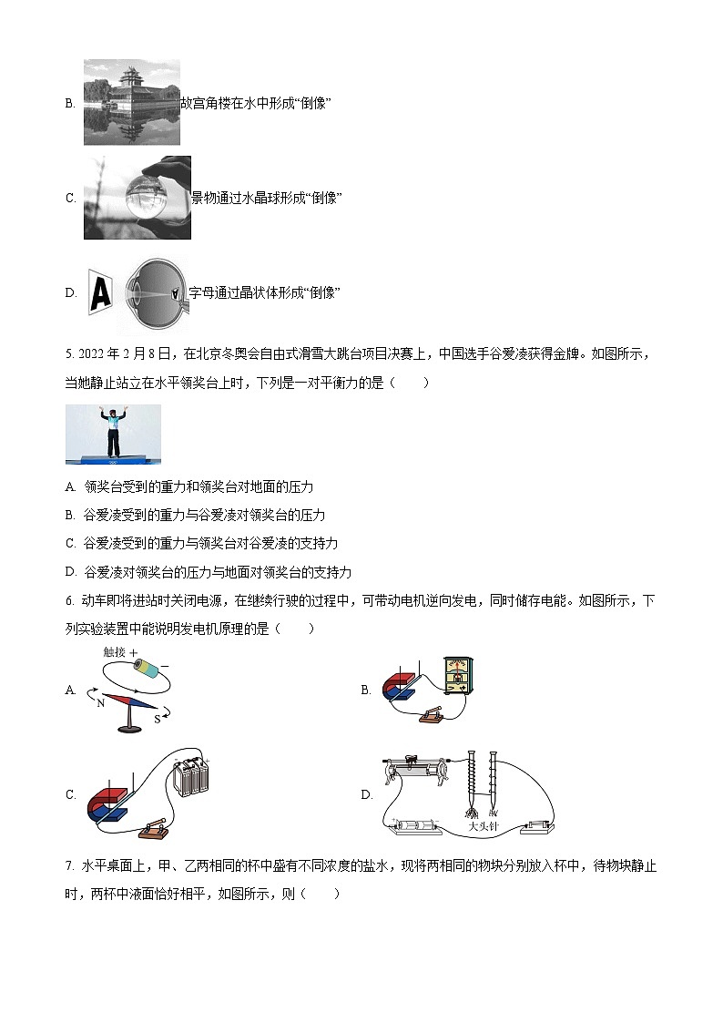 广东省惠州市第五中学2023-2024学年九年级下学期4月模拟考试物理试卷(原卷版)第2页