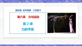 物理八年级下册2 力的平衡教课内容课件ppt